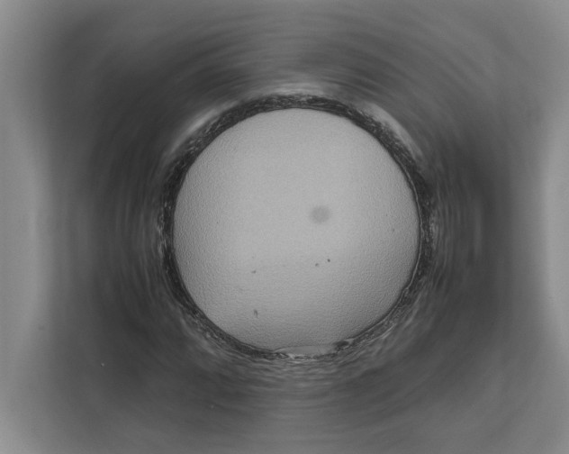 X0000111841064200908131414