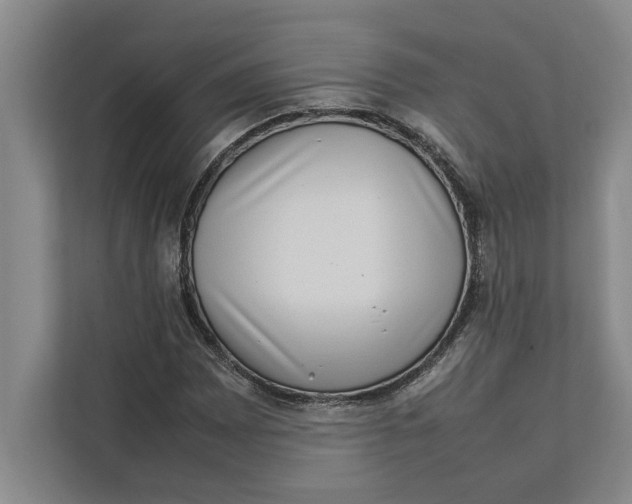 X0000111841065200908131414