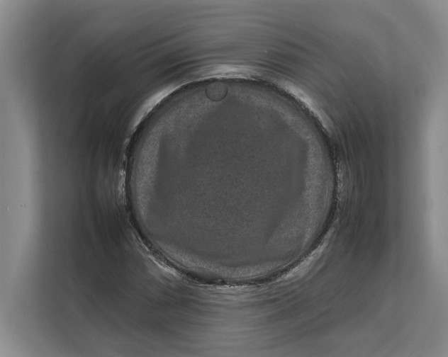 X0000111841066200908131414