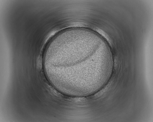 X0000111841067200908131414