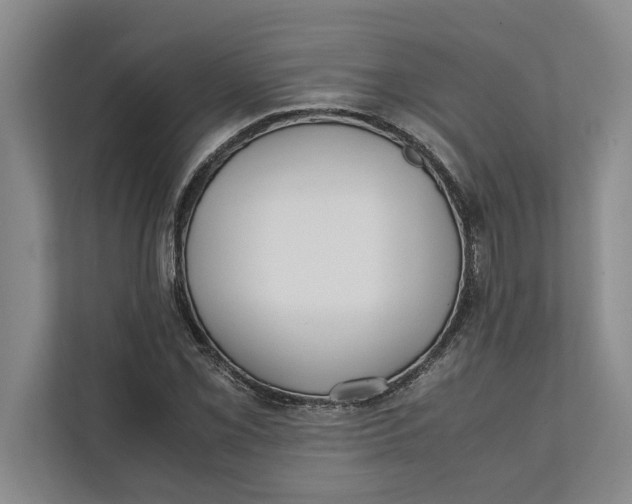 X0000111841069200908131414