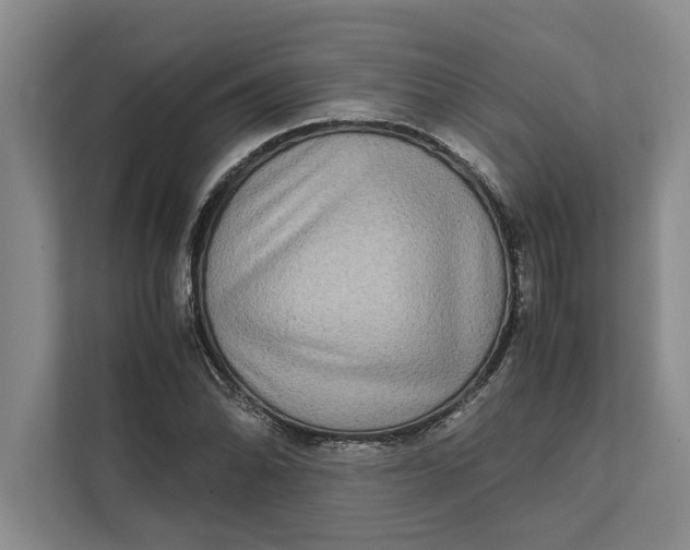 X0000111841070200908131414