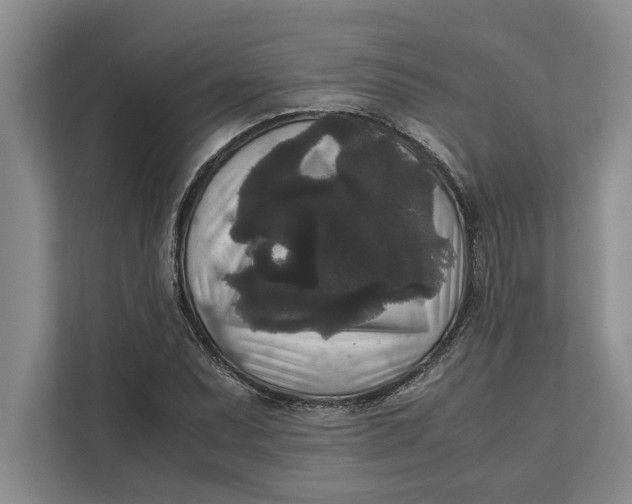 X0000111841071200908131414