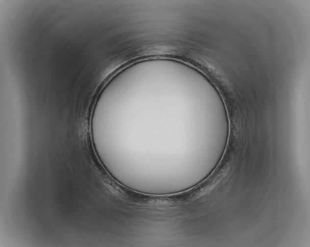 X0000111841073200908131414