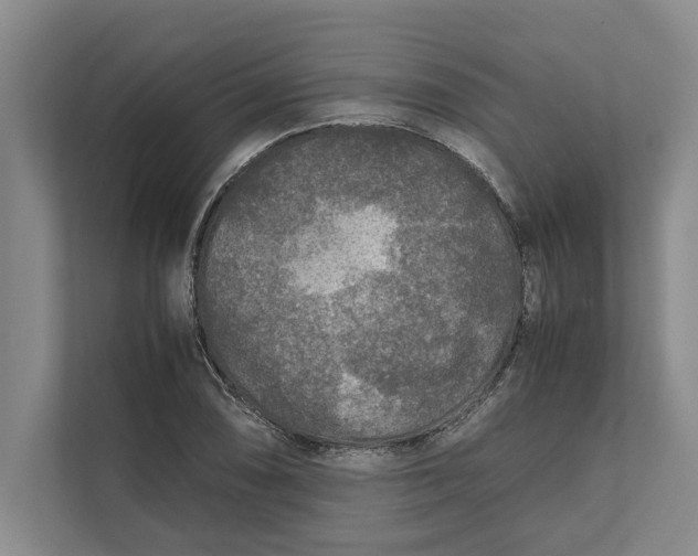 X0000111841074200908131414