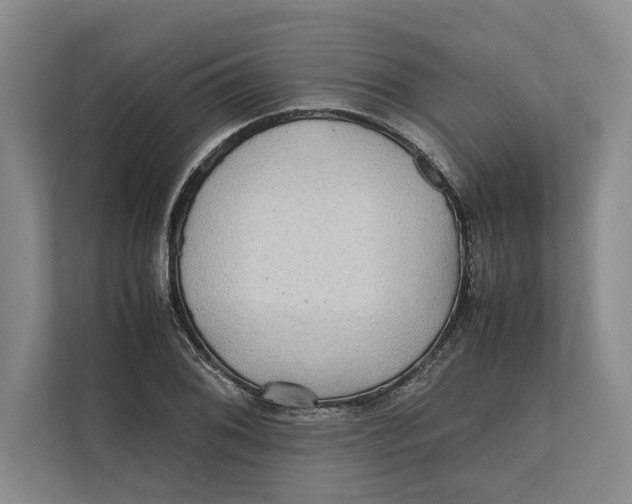 X0000111841076200908131414