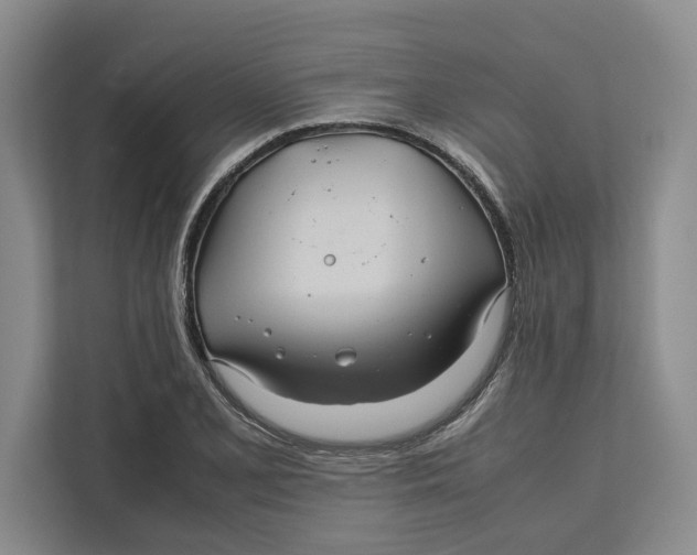 X0000111841077200908131414