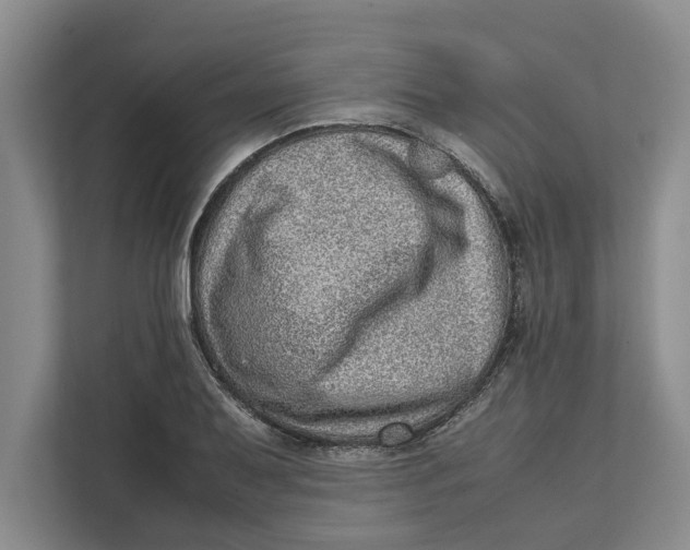 X0000111841079200908131414