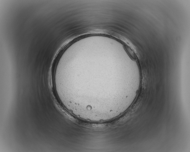 X0000111841080200908131414