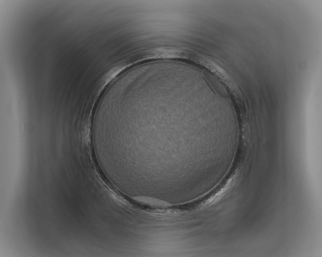 X0000111841081200908131414