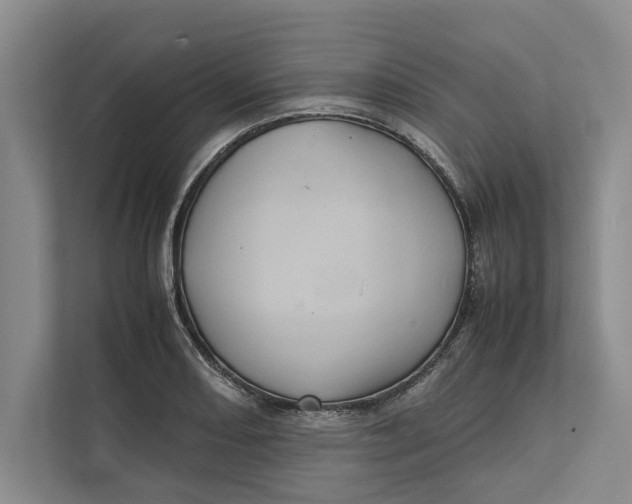 X0000111841082200908131414