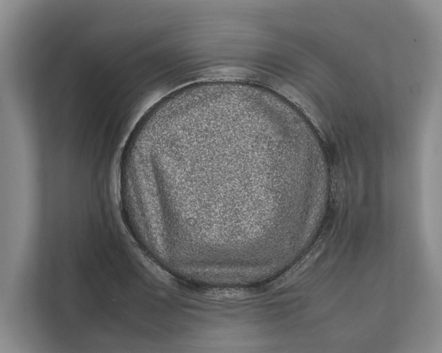 X0000111841083200908131414