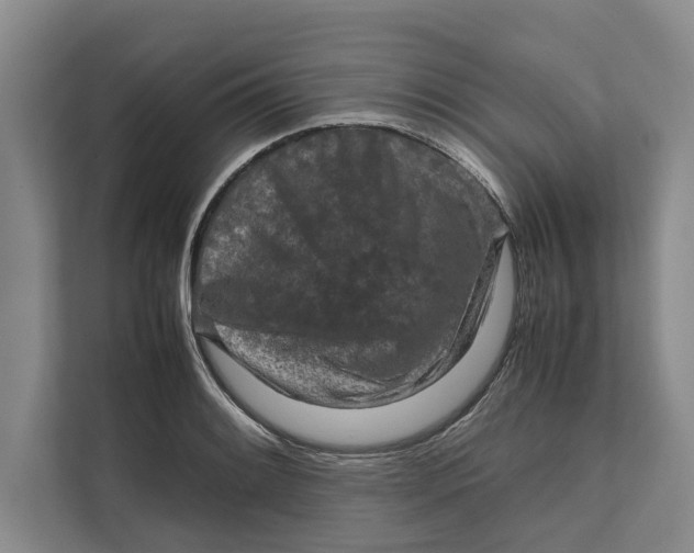 X0000111841084200908131414