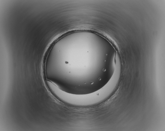 X0000111841085200908131414