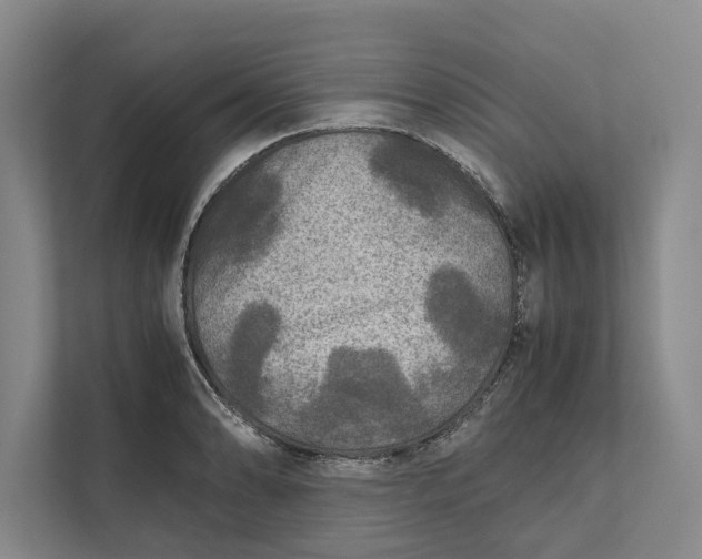 X0000111841086200908131414