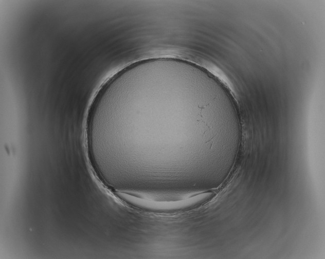 X0000111841088200908131414