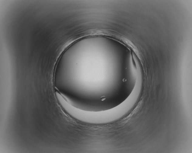 X0000111841089200908131414