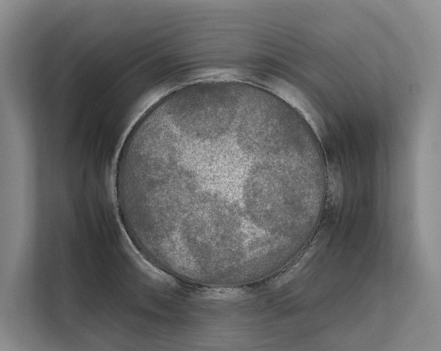 X0000111841090200908131414