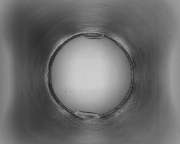 X0000111841093200908131414