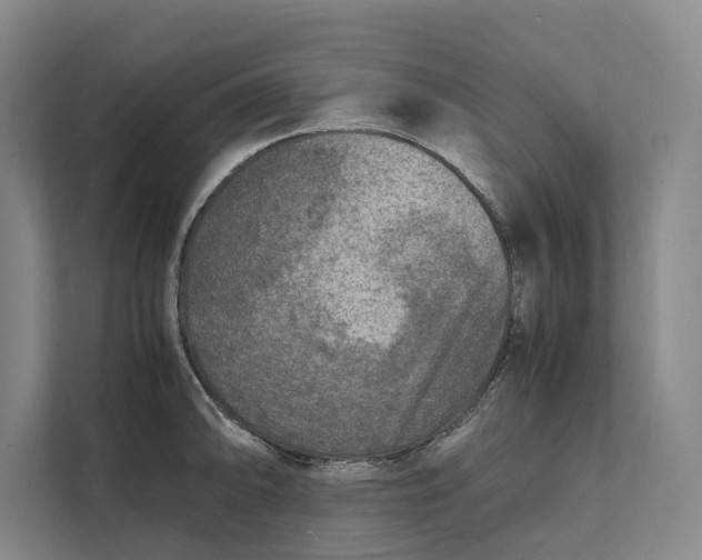 X0000111841094200908131414