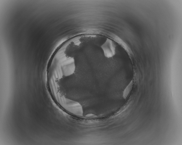 X0000111841095200908131414