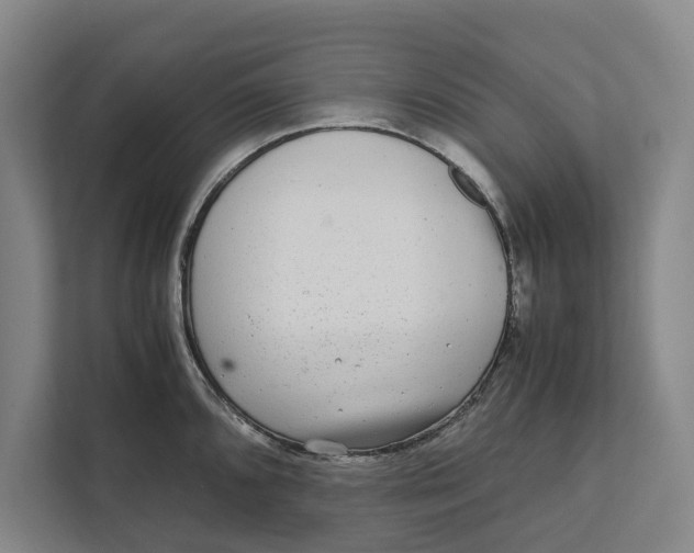 X0000111841096200908131413