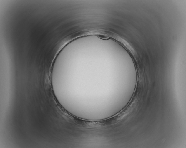 X0000111841097200908131413