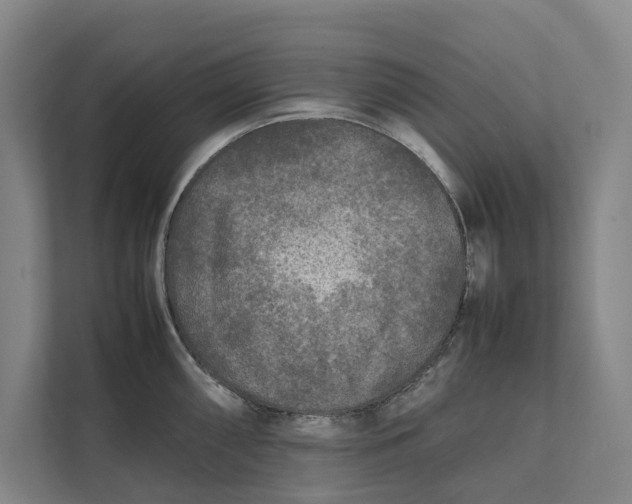 X0000111841098200908131413