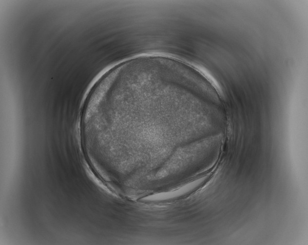 X0000111841100200908131413