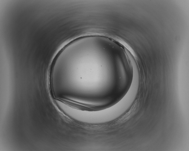 X0000111841101200908131413