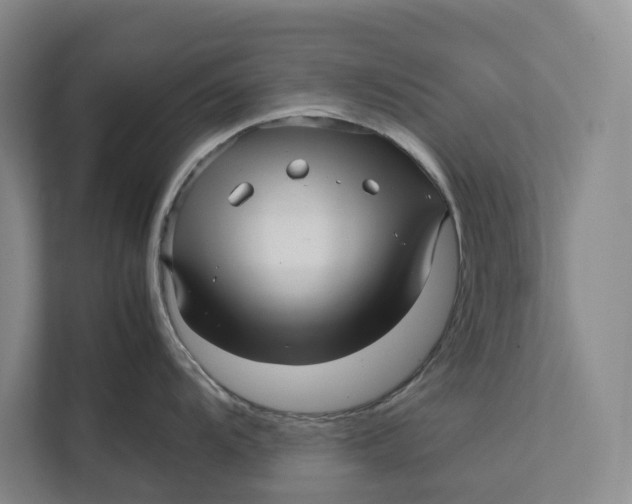 X0000111841104200908131413