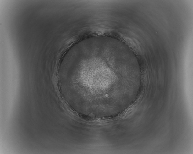 X0000111841105200908131413