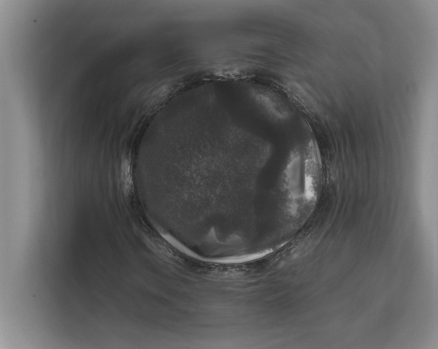 X0000111841106200908131413