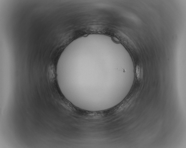 X0000111841107200908131413