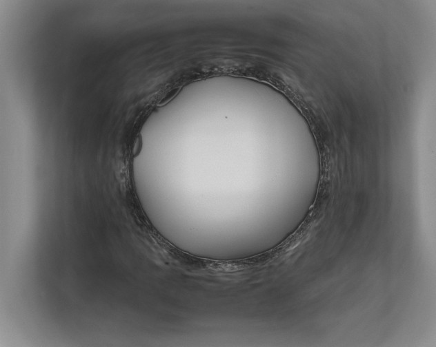 X0000111841109200908131413