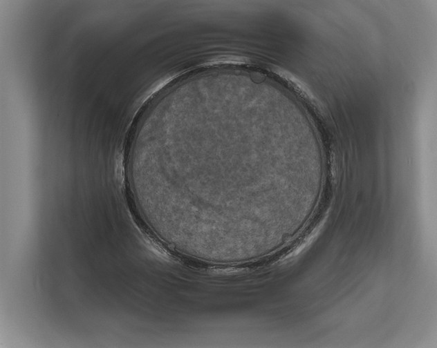 X0000111841113200908131413