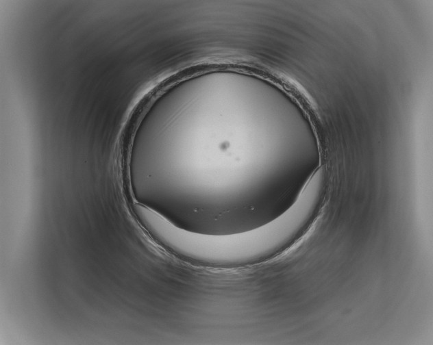 X0000111841114200908131413