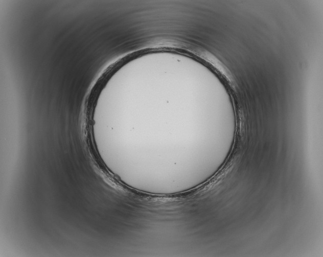 X0000111841116200908131413