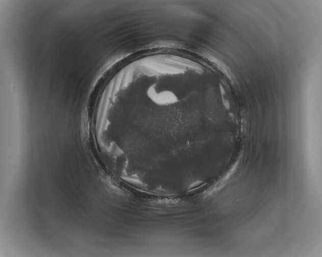 X0000111841117200908131413