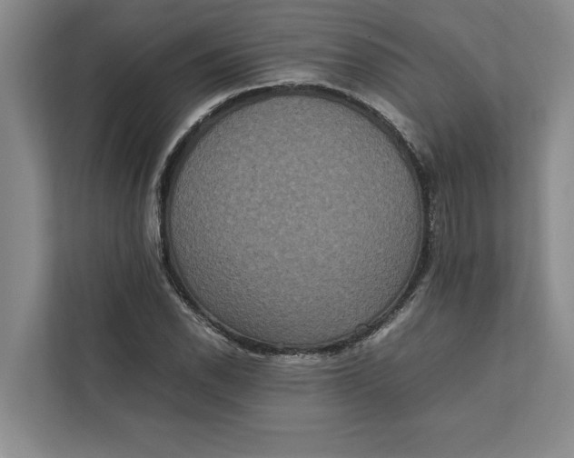 X0000111841118200908131413