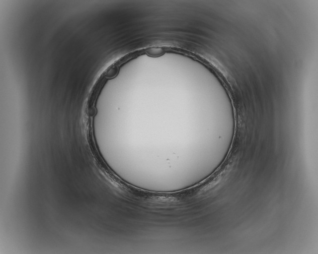 X0000111841119200908131413