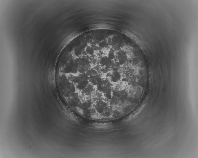 X0000111841121200908131413