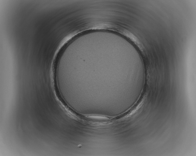 X0000111841122200908131413