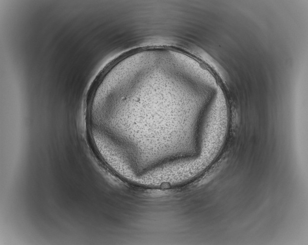 X0000111841124200908131413