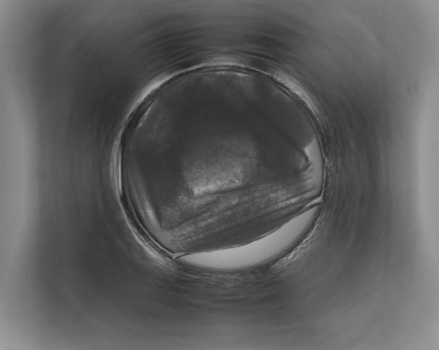 X0000111841127200908131413