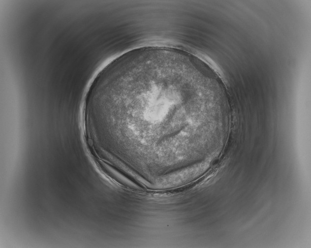 X0000111841128200908131413