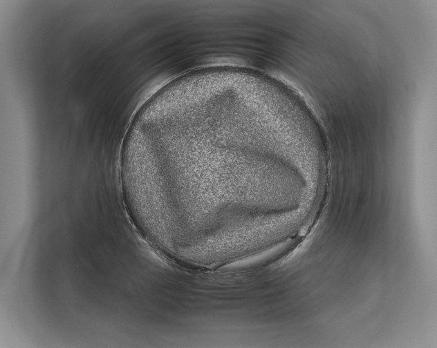 X0000111841129200908131413