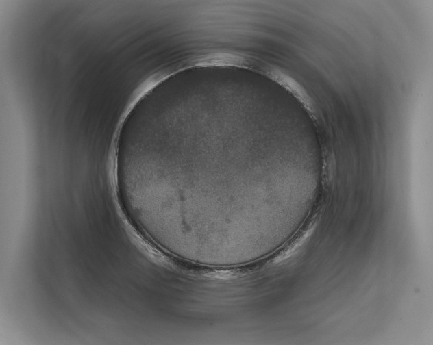 X0000111841130200908131413