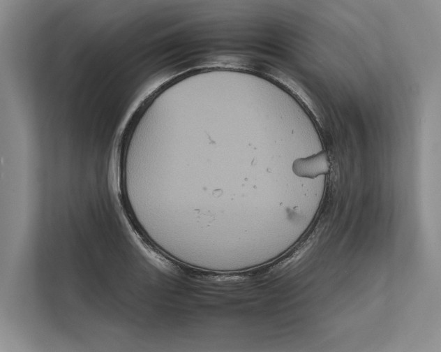 X0000111841131200908131413