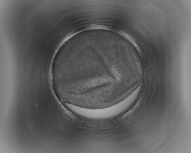 X0000111841133200908131413